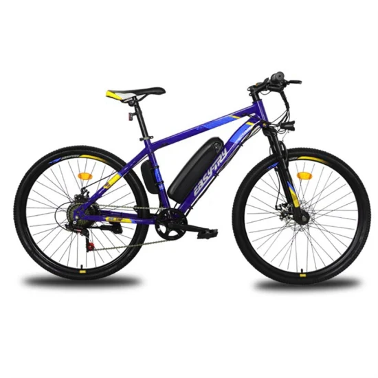 Hot alta qualidade E-Cycle China fabricante personalizado 10ah bicicleta elétrica 36V/48V 250W/350W/500W Ebike