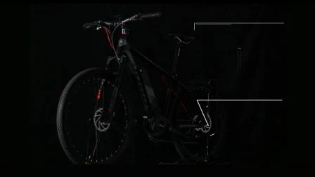 Bicicleta de montanha elétrica fora de estrada Jobo com Ultra System 1000 W Jb-Tda33L